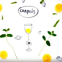 The Chablis winegrowing region seen from the sky