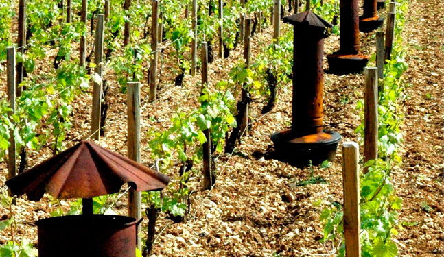 Chaufferettes - Chablis