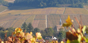 Die Chablis-Appellationen - Chablis Grand Cru Les Clos
