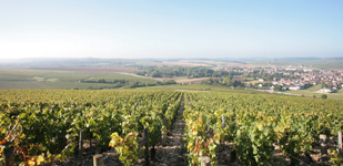 Die Chablis-Appellationen - Chablis Grand Cru Valmur