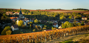 Die Chablis-Appellationen - Chablis Premier Cru Vau Ligneau