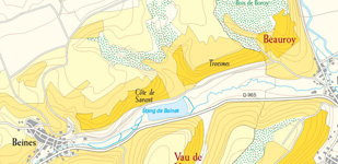 Die Chablis-Appellationen - Chablis Premier Cru Côte de Savant