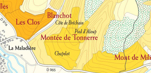 Die Chablis-Appellationen - Chablis Premier cru Chapelot