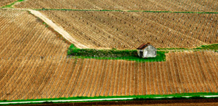 Die Chablis-Appellationen - Chablis Premier Cru Côte de Fontenay