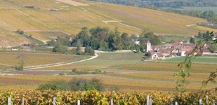Die Chablis-Appellationen - Chablis Premier Cru Côte de Léchet