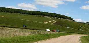 Die Chablis-Appellationen - Chablis Premier Cru Fourchaume