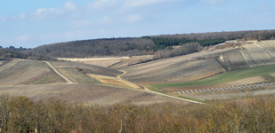 Die Chablis-Appellationen - Chablis Premier Cru Troesmes