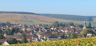 Climat de Chablis: Les Lys