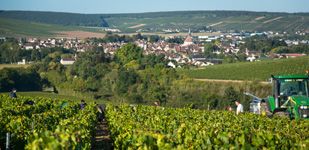 Die Chablis-Appellationen - Chablis Premier Cru Montée de Tonnerre
