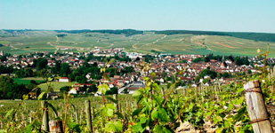 Die Chablis-Appellationen - Chablis Premier Cru Montmains