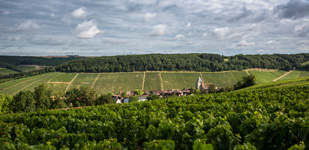 Die Chablis-Appellationen - Chablis Premier Cru Côte des Prés Girots