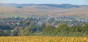 Die Chablis-Appellationen - Chablis Premier Cru Mélinots
