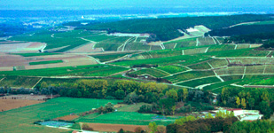 Die Chablis-Appellationen - Chablis Premier Cru Vaulorent