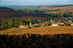 Weinbergsführungen im Chablis in der Bourgogne