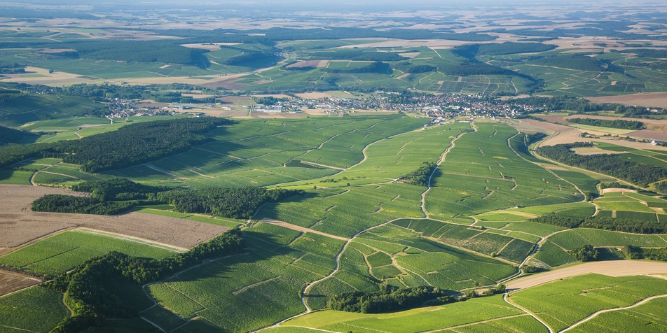 Entdecken Sie die Chablis-Weine
                