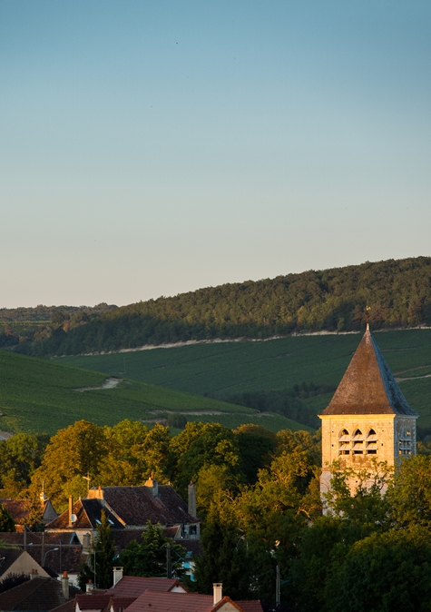 WILLKOMMEN IN DER WELT DER CHABLIS-WEINE