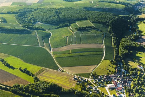 Beauroy ist ein Haupt-Climat am linken Ufer