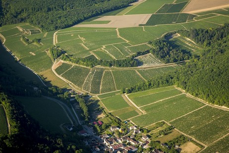 Côte de Vaubarousse ist ein Climat am rechten Ufer