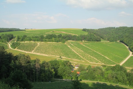 Berdiot ist ein Climat am rechten Ufer