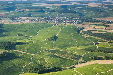 Climat Forêts