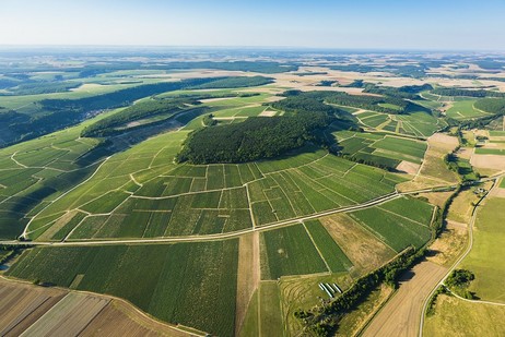 Mont de Milieu ist ein Haupt-Climat am rechten Ufer