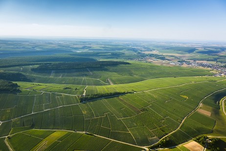 Montmains ist ein Haupt-Climat am linken Ufer