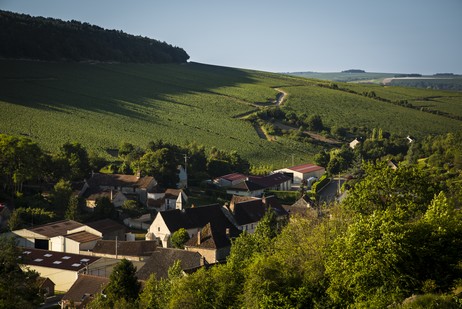 Côte de Bréchain ist ein Climat am rechten Ufer