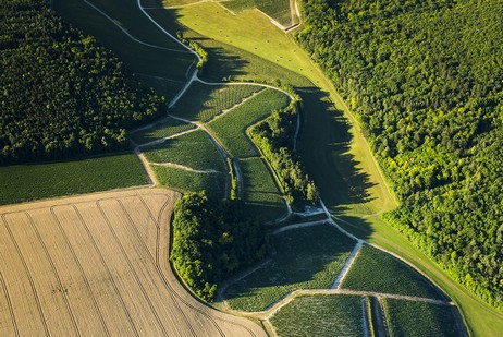 Vaux Ragons ist ein Climat am linken Ufer