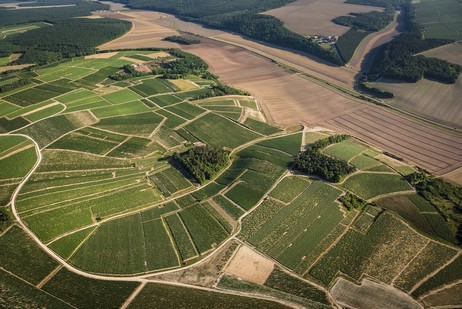 Vaugiraut ist ein Climat am linken Ufer