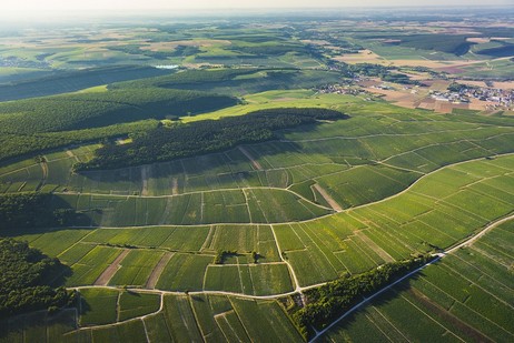 Vaillons ist ein Haupt-Climat am linken Ufer