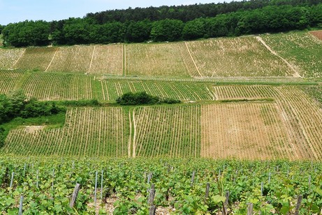 Mélinots ist ein Climat am linken Ufer