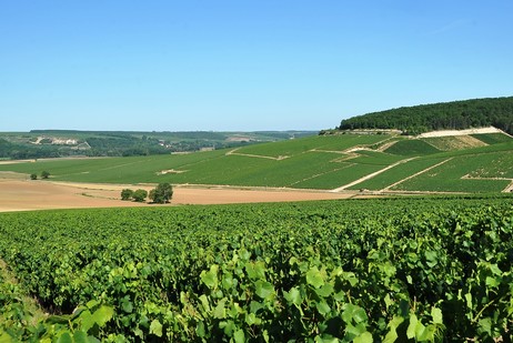 Vaupulent ist ein Climat am rechten Ufer