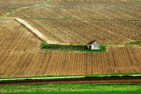 Côte de Fontenay ist ein Climat am rechten Ufer