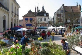 Marché des Vins de l’Yonne und Marché aux Fleurs