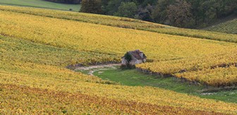 WEINWANDERWEGE