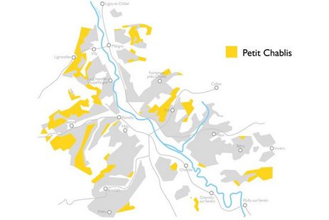 PETIT CHABLIS IN EINIGEN ZAHLEN