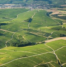 Chablis Premier Cru Symphony